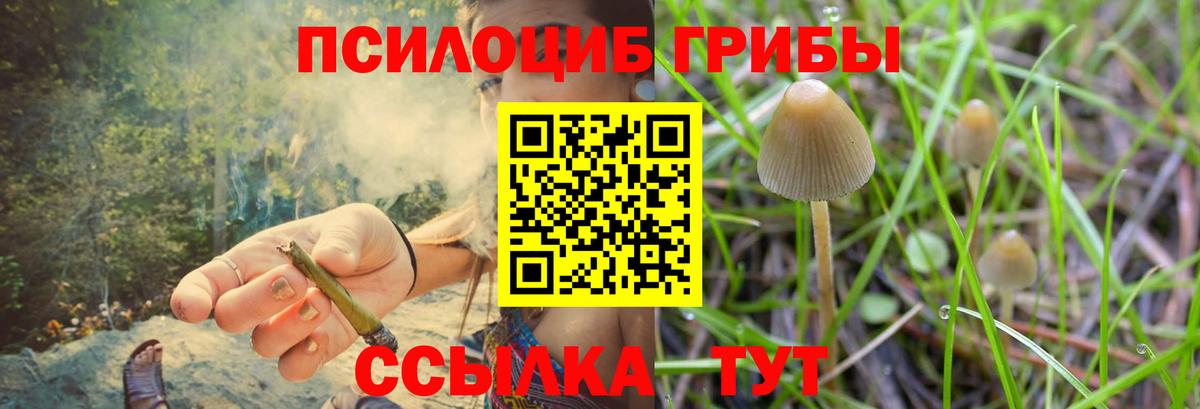 Галлюциногенные грибы прущие грибы  Вход с VPN  Зеленогорск 